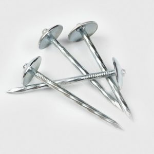 Ceiling Nails
